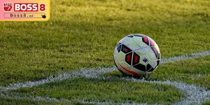 Giới thiệu tổng quan về kèo 1/2 BOSS8