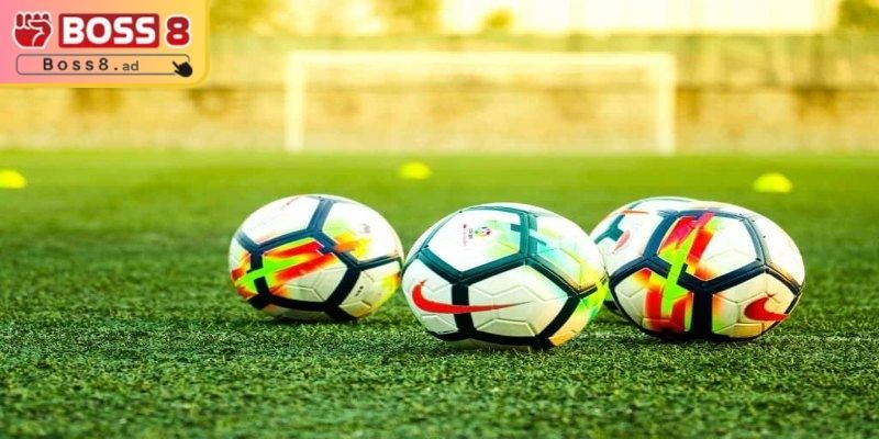 Tổng quan giới thiệu về kèo sớm BOSS8